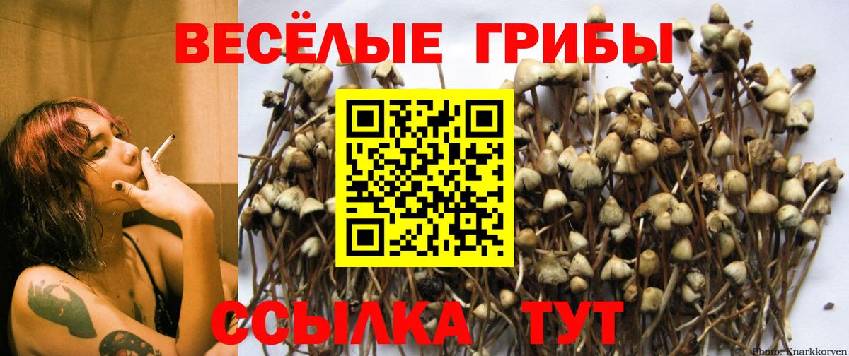купить   Вход с VPN  Галлюциногенные грибы прущие грибы  Прокопьевск  Псилоцибиновые грибы ЛСД 